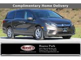 2020 Pacific Pewter Metallic Honda Odyssey EX #138295841