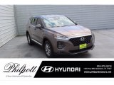 Earthy Bronze Hyundai Santa Fe in 2020