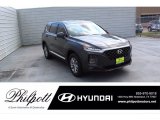 2020 Portofino Gray Hyundai Santa Fe SEL #138374100