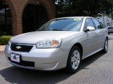 2006 Silverstone Metallic Chevrolet Malibu Maxx LT Wagon #13829525