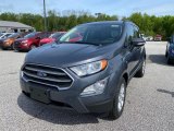 2020 Smoke Metallic Ford EcoSport SE #138489156