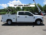 2017 Ford F250 Super Duty XL Crew Cab Chassis Exterior