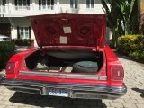 1975 Oldsmobile Delta 88 Royal Convertible Trunk