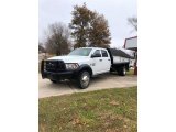 Bright White Ram 5500 in 2013