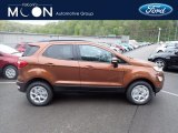 2020 Canyon Ridge Metallic Ford EcoSport SE 4WD #138487720