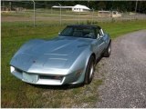 1982 Silver Green Chevrolet Corvette Coupe #138485693