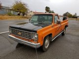 1976 Orange Chevrolet C/K C20 Custom Deluxe Regular Cab #138485674