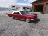 1966 Ford Mustang Convertible Front 3/4 View