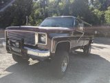 1977 Chevrolet C/K K10 Cheyenne Regular Cab 4x4 Exterior