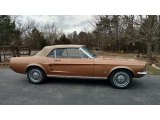 Copper Ford Mustang in 1967
