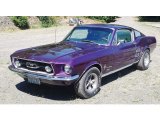 1967 House of color 3 stage Purple Ford Mustang Fastback #138486216