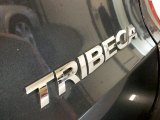 Subaru Tribeca 2009 Badges and Logos