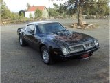 1975 Pontiac Firebird Black