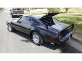 1980 Pontiac Firebird Turbo Trans Am Exterior