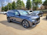 2020 Arctic Grey Metallic BMW X7 M50i #138488685