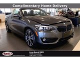 2020 Mineral Grey Metallic BMW 2 Series 230i Convertible #138487939