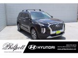 2020 Becketts Black Hyundai Palisade SEL #138801062