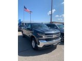 2020 Shadow Gray Metallic Chevrolet Silverado 1500 LT Double Cab 4x4 #138801947