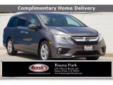 2019 Pacific Pewter Metallic Honda Odyssey EX-L #139021636