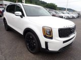 Kia Telluride 2021 Data, Info and Specs