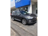 2020 Portofino Gray Hyundai Santa Fe SEL AWD #139151903