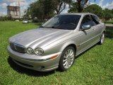 2006 Platinum Metallic Jaguar X-Type 3.0 #139166134
