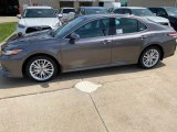 2020 Predawn Gray Mica Toyota Camry XLE AWD #139201957