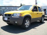 2001 Chrome Yellow Metallic Ford Escape XLT V6 4WD #13889576