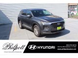 2020 Rainforest Hyundai Santa Fe SEL #139237884