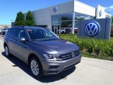 2020 Platinum Gray Metallic Volkswagen Tiguan S 4MOTION #139274153