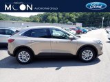 2020 Desert Gold Metallic Ford Escape SE #139320532