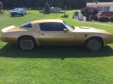 1978 Pontiac Firebird Trans Am Coupe Exterior