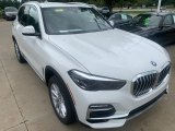 2021 Alpine White BMW X5 xDrive40i #139382660