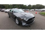 2020 Magnetic Ford Mustang EcoBoost Fastback #139382685