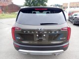 Kia Telluride Badges and Logos