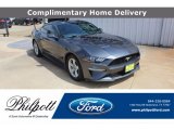 2019 Magnetic Ford Mustang EcoBoost Fastback #139423746