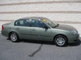 2005 Silver Green Metallic Chevrolet Malibu Sedan #13945761