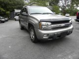 2002 Light Pewter Metallic Chevrolet TrailBlazer LT 4x4 #13941574