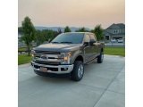 Stone Gray Metallic Ford F350 Super Duty in 2019