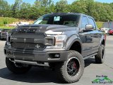Magnetic Ford F150 in 2020