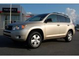 2007 Savannah Metallic Toyota RAV4 I4 #13892893