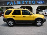 2003 Chrome Yellow Metallic Ford Escape XLT V6 4WD #13941312