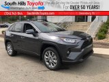 2020 Magnetic Gray Metallic Toyota RAV4 XLE Premium AWD #139571642