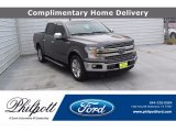Magnetic Ford F150 in 2018