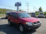 2007 Redfire Metallic Ford Escape XLT V6 4WD #13885990