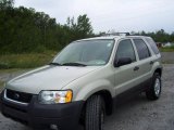 2003 Gold Ash Metallic Ford Escape XLT V6 4WD #13930552