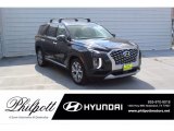 2021 Becketts Black Hyundai Palisade SEL #139759524