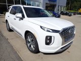 Hyper White Hyundai Palisade in 2021
