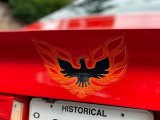 1974 Pontiac Firebird Formula 350 Marks and Logos