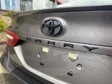2020 Toyota Camry XSE Marks and Logos
